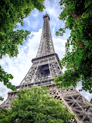 Eiffeltårnet blandt blade