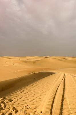 Goldene Stunde in der Wüste