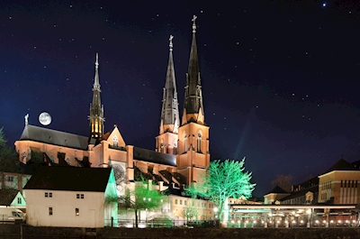 Catedral de Uppsala #2