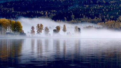 Nebbia sul lago