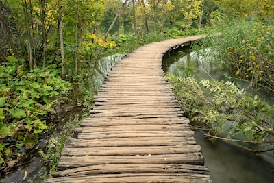 Winding wooden bridge