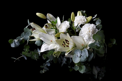 Weiße Blumen I