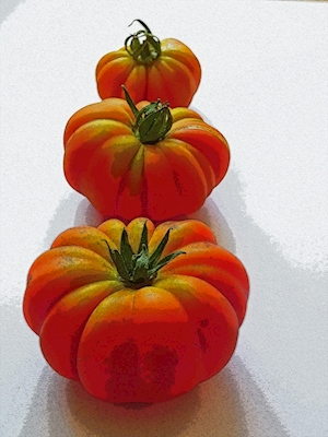 Frissons de tomates 2