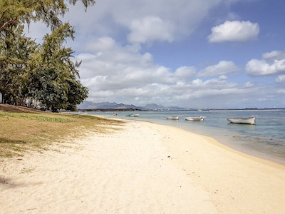 Plaża Mauritius