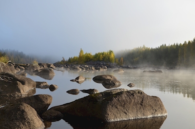 Misty river in the morning