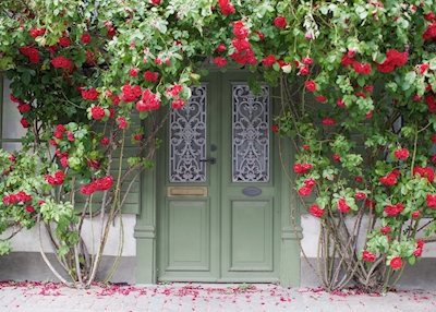 The door by the roses