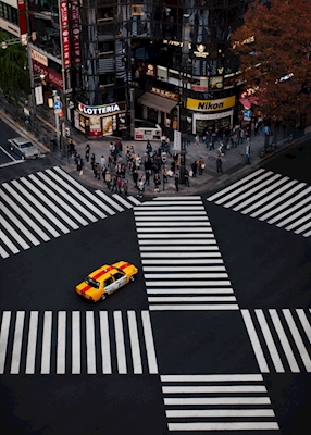 Tokyo crossing