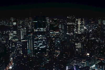 De nacht van Tokyo