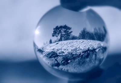 winter landscape in a bubble
