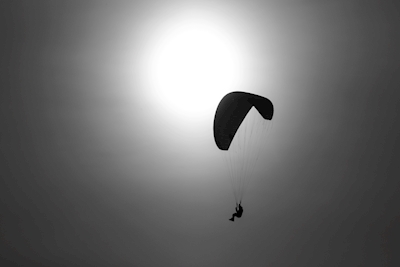 Paraglideren