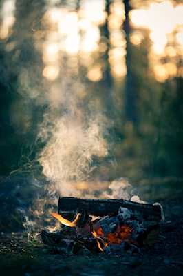 Evening bonfire