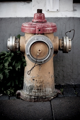 Islandsk brannhydrant