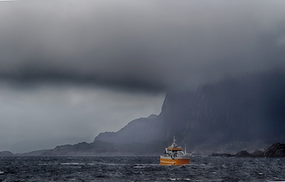 Fiskebåt i Lofoten