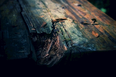 Ławka drewniana