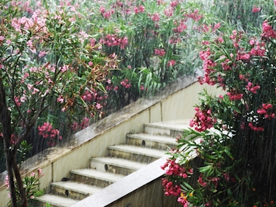 De trap van de regen