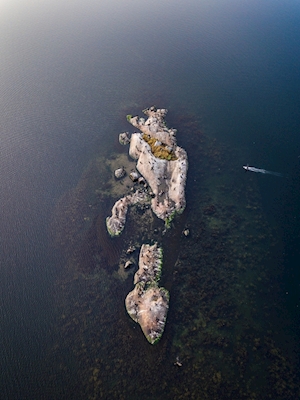 Fugleøya