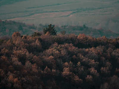 Colline d’automne