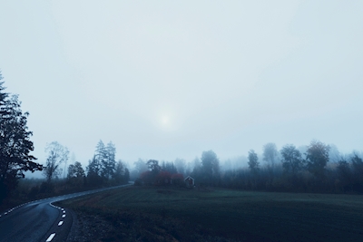 Mlhavá cesta.
