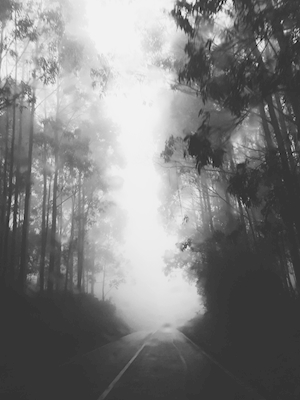 Haunted road