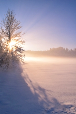 L'inverno norvegese al suo massimo splendore