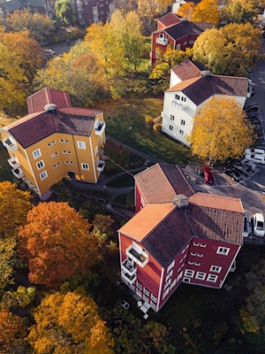 Jesień w Gröndal