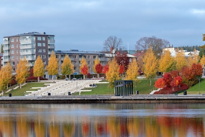 Herbst in Skellefteå 