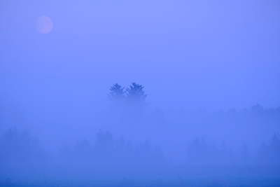 Måneskin og tåge