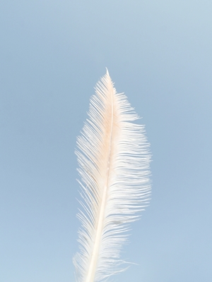 Light as a Feather