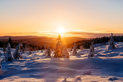 Solnedgang over vinterlandskabet