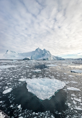 Icebergs dans le Diskobay