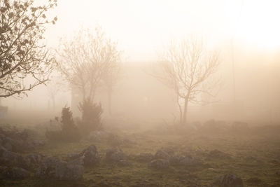 Mlhavé ráno na Gotlandu 4