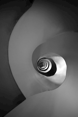 Spiral Staircase or Vertigo