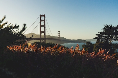 Golden Gate Bridge ved solnedgang