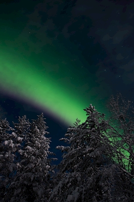 Noite de Norrland