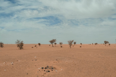 Het landschap van de woestijn