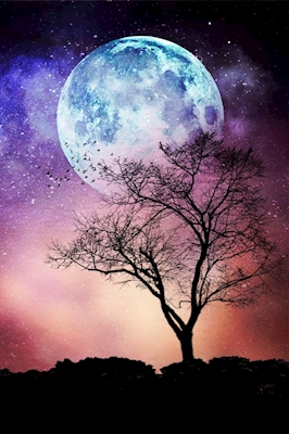 Měsíční strom
