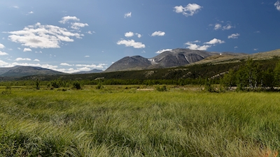 Parque Nacional Rondane