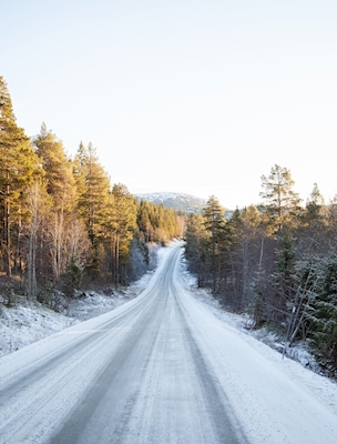 Estrada de Inverno