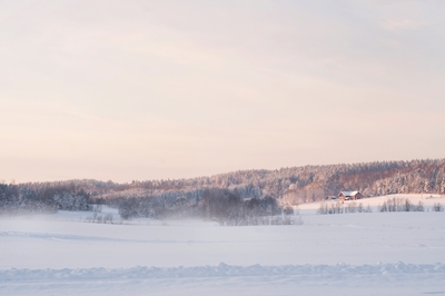 Vinter i Hälsingland
