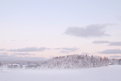 Vinter i Hälsingland II