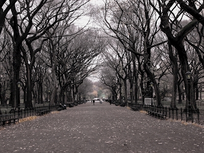 Central Park, Manhattan, NYC