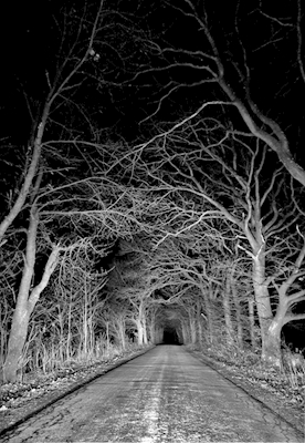 Slottsvägen di notte
