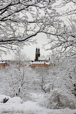 De Kerk van Högalid in de winter