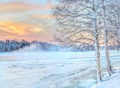 Vinter ved Ume-floden
