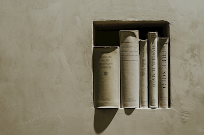 De plank van de muur met boeken