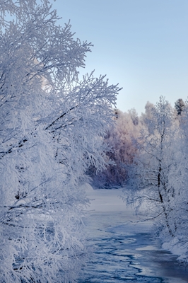 Winterland (Inverno)