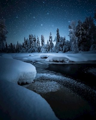 De nacht van de winter