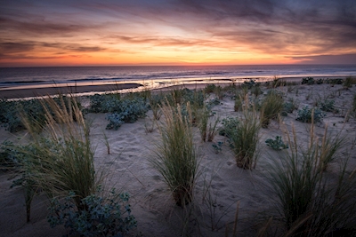 Le dune alla luce del tramonto