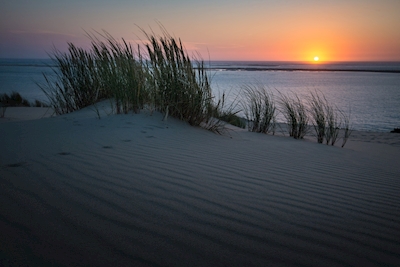coucher de soleil sur les dunes