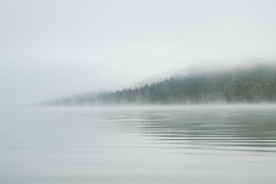 Mist over het meer
